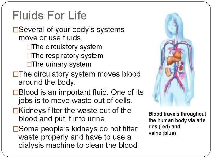 Fluids For Life �Several of your body’s systems move or use fluids. �The circulatory