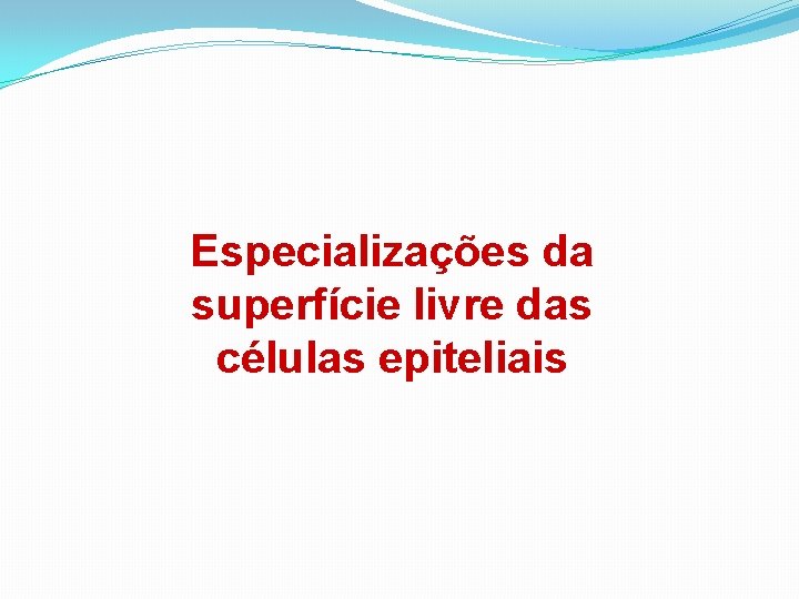 Especializações da superfície livre das células epiteliais 