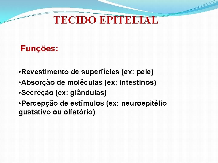 TECIDO EPITELIAL Funções: • Revestimento de superfícies (ex: pele) • Absorção de moléculas (ex: