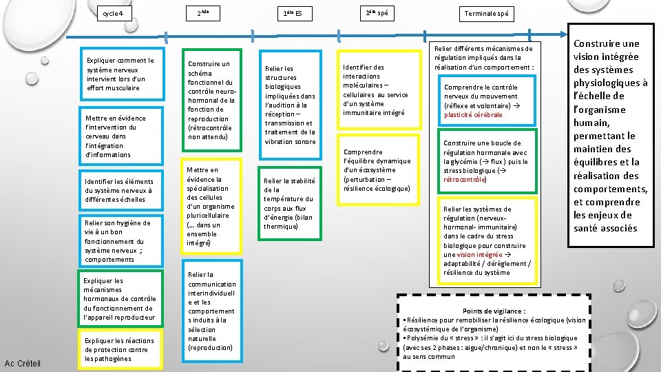 cycle 4 Expliquer comment le système nerveux intervient lors d’un effort musculaire Mettre en