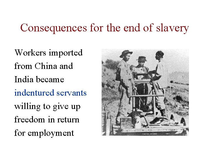 Consequences for the end of slavery Workers imported from China and India became indentured