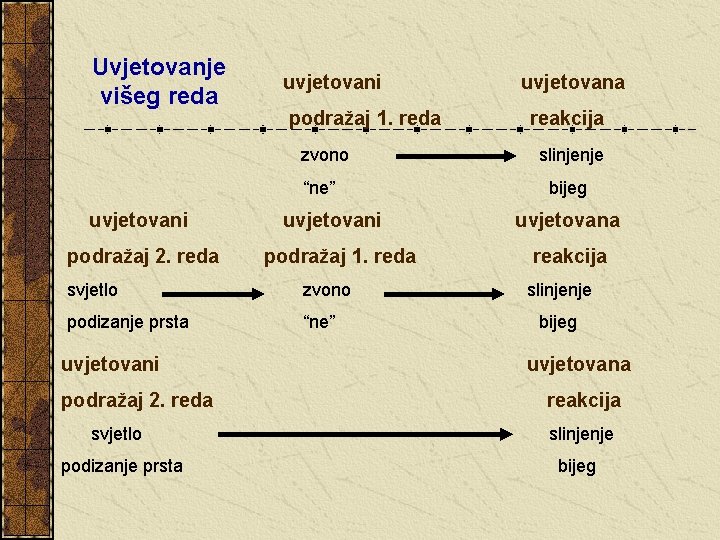 Uvjetovanje višeg reda uvjetovani podražaj 2. reda uvjetovani podražaj 1. reda slinjenje “ne” bijeg