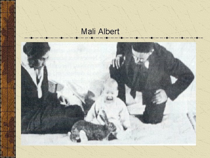 Mali Albert 