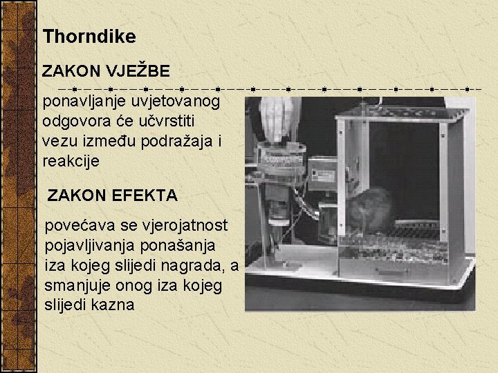 Thorndike ZAKON VJEŽBE ponavljanje uvjetovanog odgovora će učvrstiti vezu između podražaja i reakcije ZAKON