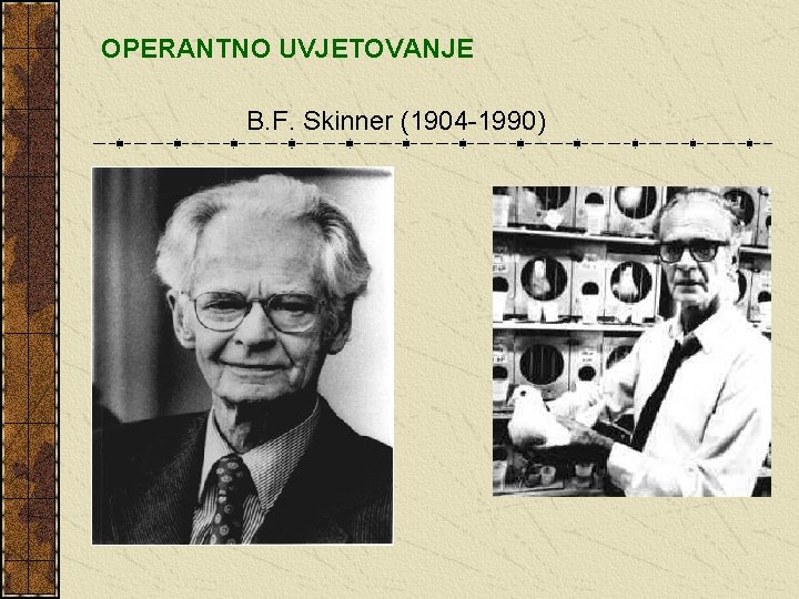 OPERANTNO UVJETOVANJE B. F. Skinner (1904 -1990) 