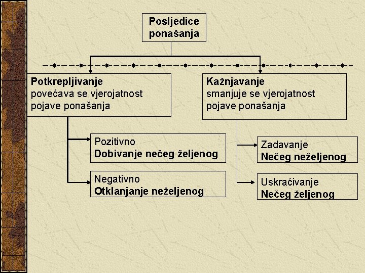 Posljedice ponašanja Potkrepljivanje povećava se vjerojatnost pojave ponašanja Kažnjavanje smanjuje se vjerojatnost pojave ponašanja