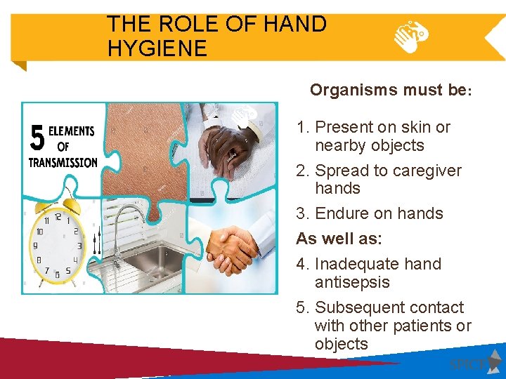 THE ROLE OF HAND HYGIENE Organisms must be: 1. Present on skin or nearby