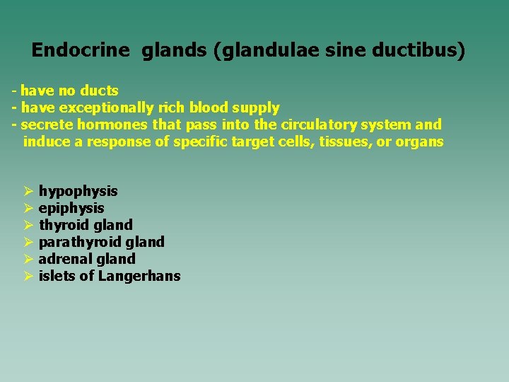 Endocrine glands (glandulae sine ductibus) - have no ducts - have exceptionally rich blood