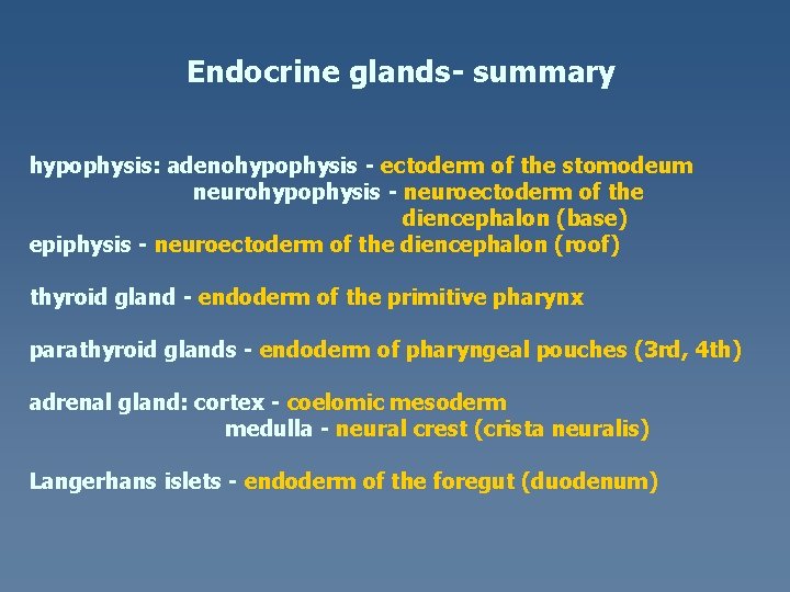 Endocrine glands- summary hypophysis: adenohypophysis - ectoderm of the stomodeum neurohypophysis - neuroectoderm of