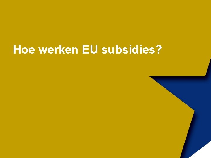 Hoe werken EU subsidies? 