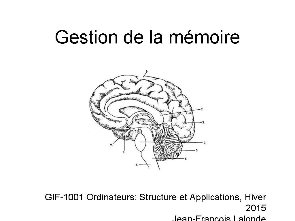 Gestion de la mémoire GIF-1001 Ordinateurs: Structure et Applications, Hiver 2015 