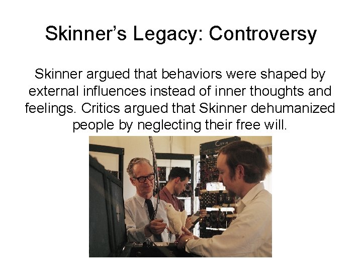 Skinner’s Legacy: Controversy Skinner argued that behaviors were shaped by external influences instead of
