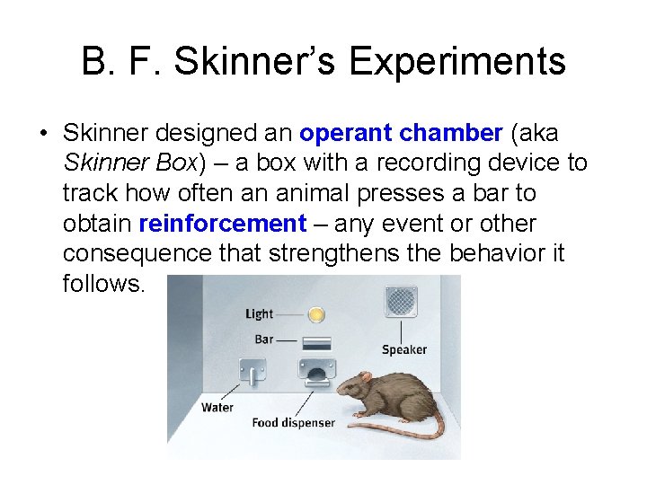 B. F. Skinner’s Experiments • Skinner designed an operant chamber (aka Skinner Box) –