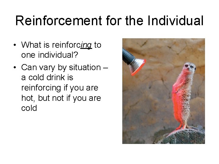 Reinforcement for the Individual • What is reinforcing to one individual? • Can vary