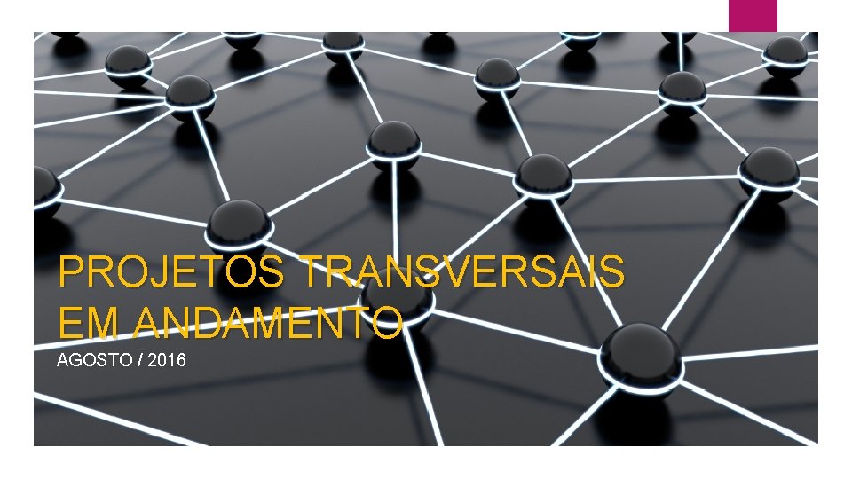 PROJETOS TRANSVERSAIS EM ANDAMENTO AGOSTO / 2016 