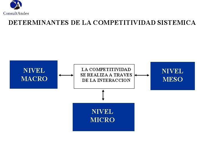 DETERMINANTES DE LA COMPETITIVIDAD SISTEMICA NIVEL META NIVEL MACRO LA COMPETITIVIDAD SE REALIZA A