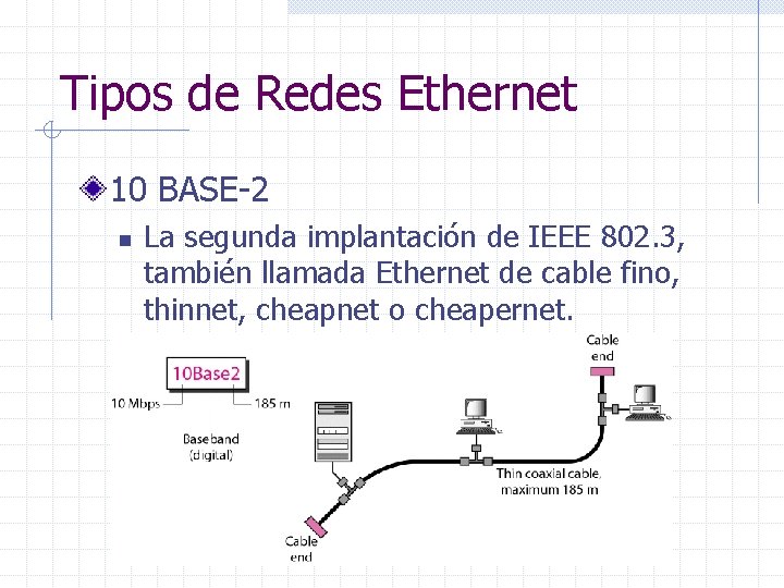Tipos de Redes Ethernet 10 BASE-2 n La segunda implantación de IEEE 802. 3,