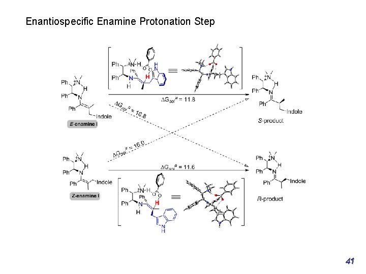 Enantiospecific Enamine Protonation Step 41 