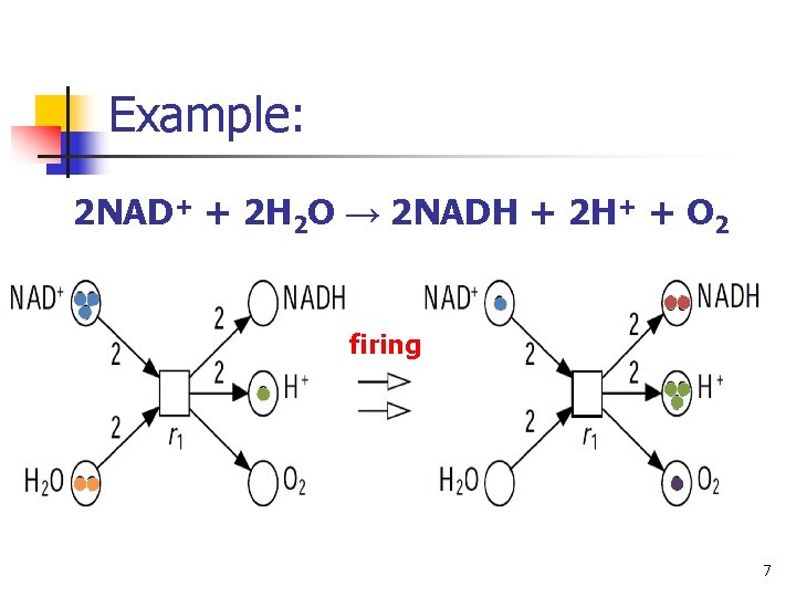 Example: 2 NAD+ + 2 H 2 O → 2 NADH + 2 H+