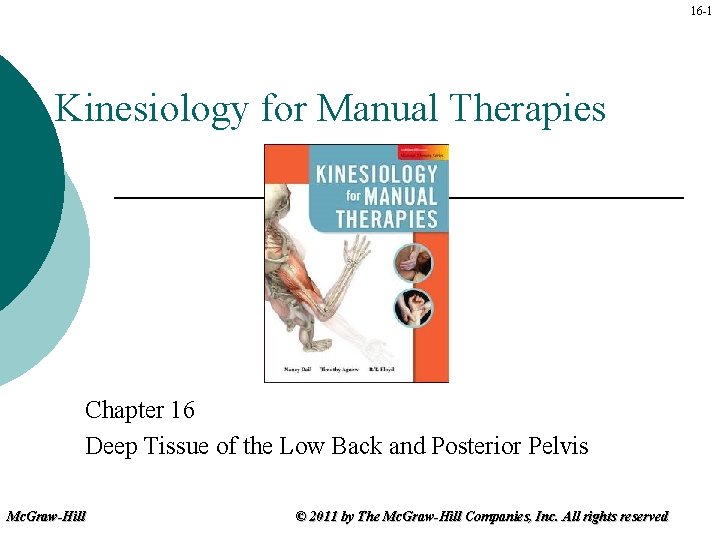 16 -1 Kinesiology for Manual Therapies Chapter 16 Deep Tissue of the Low Back