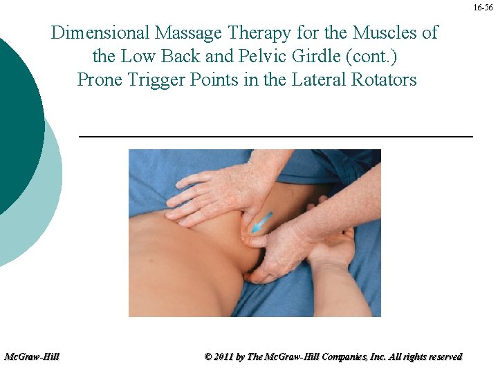 16 -56 Dimensional Massage Therapy for the Muscles of the Low Back and Pelvic