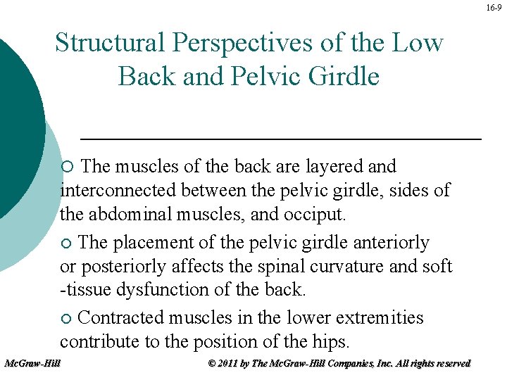 16 -9 Structural Perspectives of the Low Back and Pelvic Girdle The muscles of