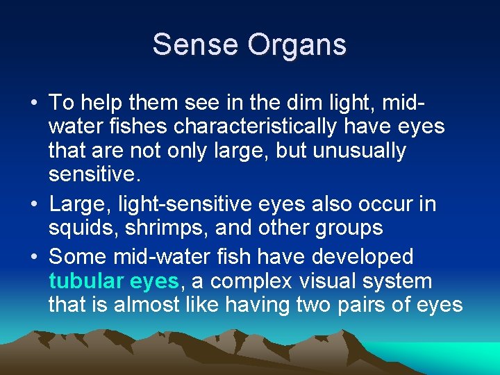 Sense Organs • To help them see in the dim light, midwater fishes characteristically