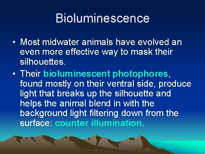 Bioluminescence • Most midwater animals have evolved an even more effective way to mask