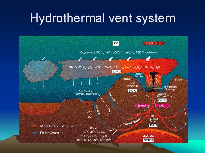 Hydrothermal vent system 