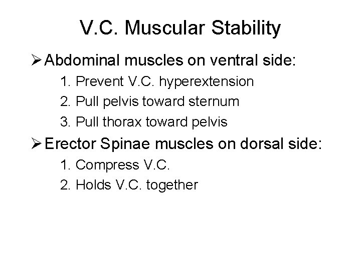 V. C. Muscular Stability Ø Abdominal muscles on ventral side: 1. Prevent V. C.