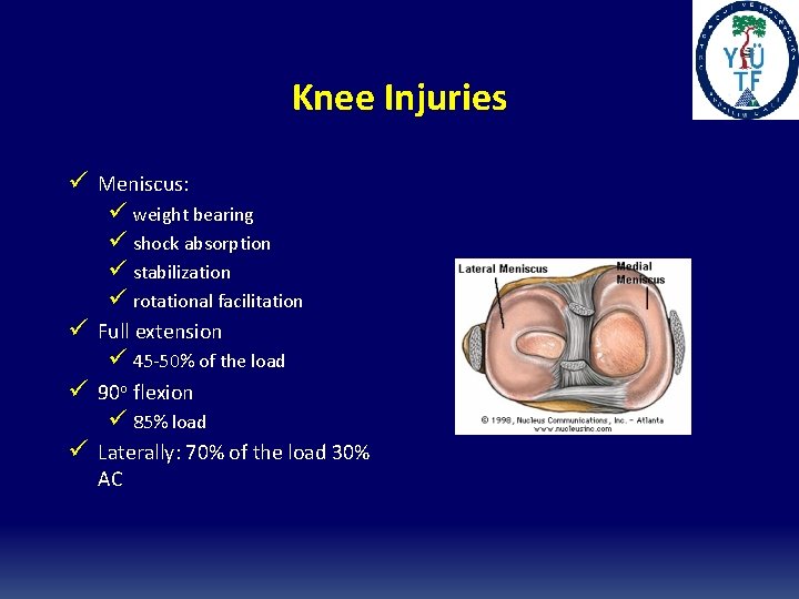 Knee Injuries ü Meniscus: ü weight bearing ü shock absorption ü stabilization ü rotational