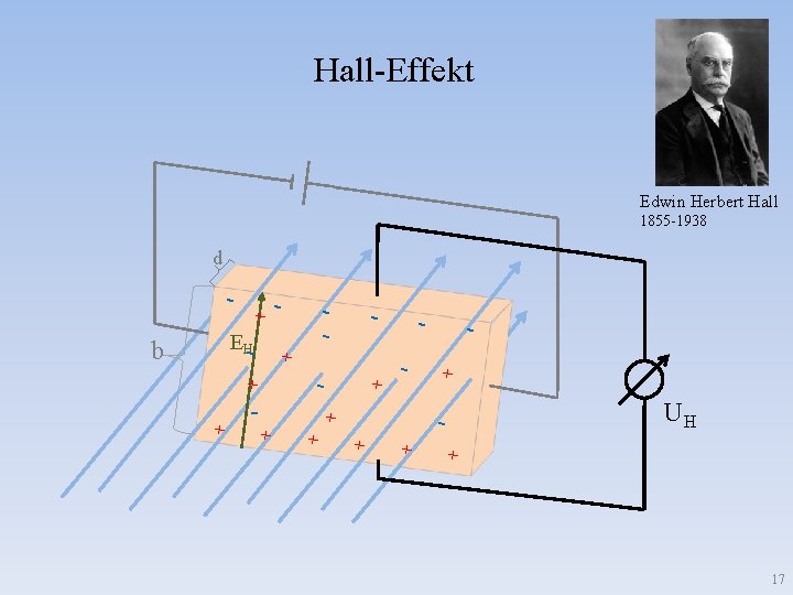 Hall-Effekt Edwin Herbert Hall 1855 -1938 d - + EH- b + - -
