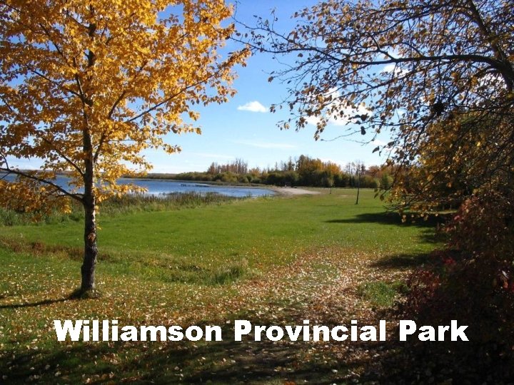 Williamson Provincial Park 