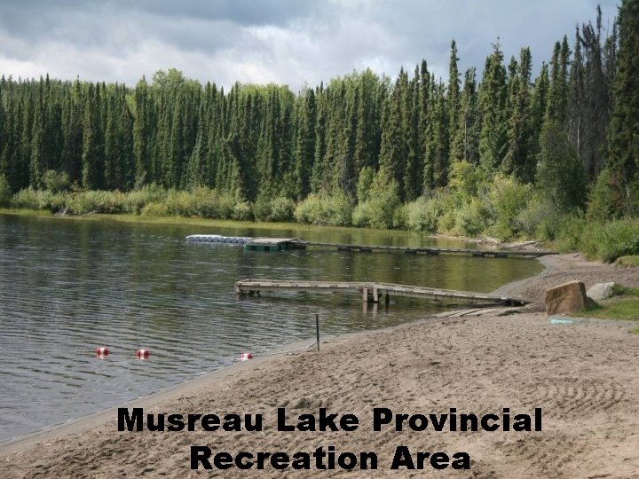 Musreau Lake Provincial Recreation Area 