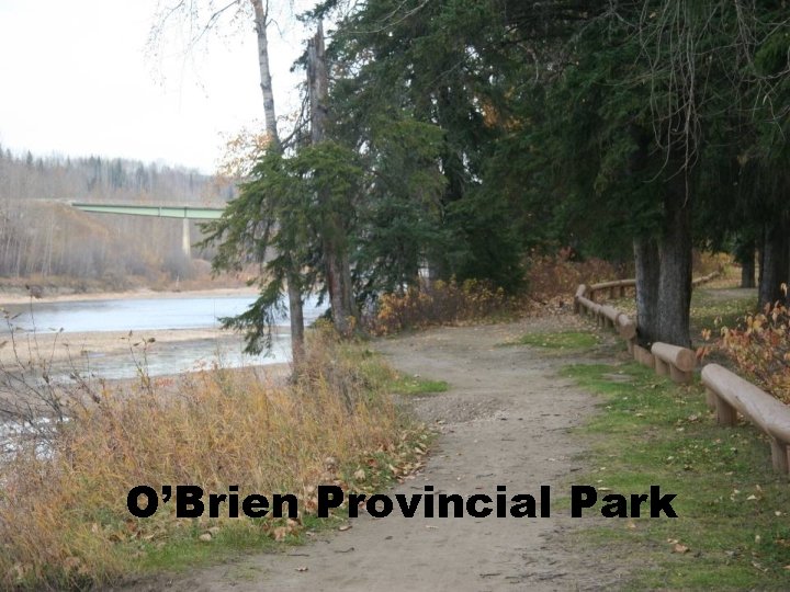 O’Brien Provincial Park 