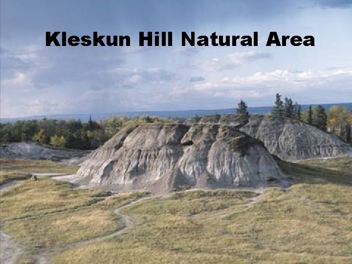 Kleskun Hill Natural Area 