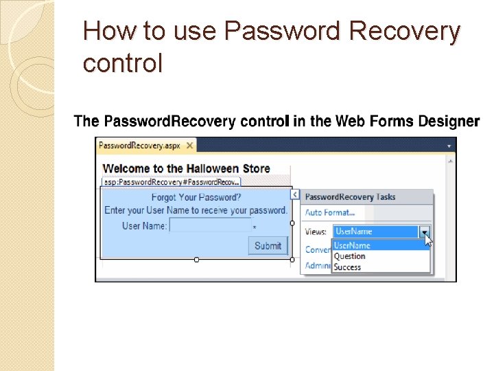 How to use Password Recovery control 