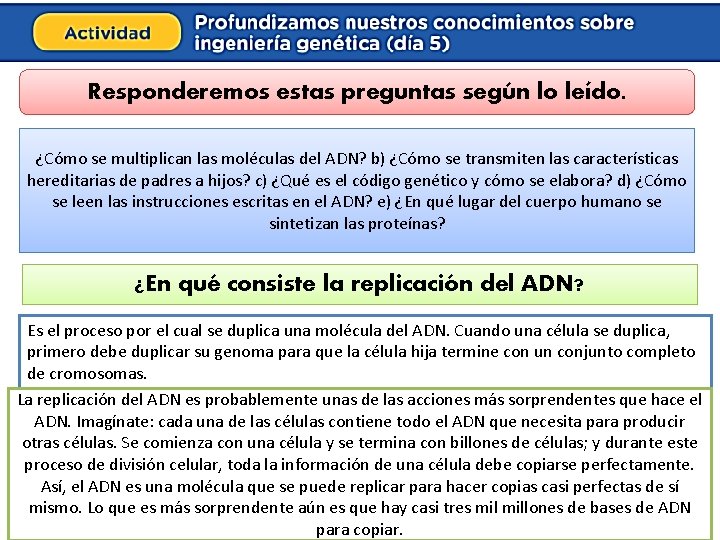 Responderemos estas preguntas según lo leído. ¿Cómo se multiplican las moléculas del ADN? b)