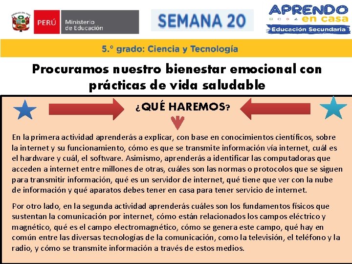 Procuramos nuestro bienestar emocional con prácticas de vida saludable ¿QUÉ HAREMOS? En la primera