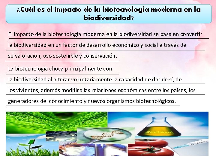 ¿Cuál es el impacto de la biotecnología moderna en la biodiversidad? El impacto de