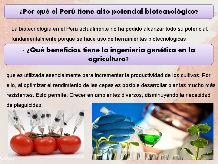 ¿Por qué el Perú tiene alto potencial biotecnológico? La biotecnología en el Perú actualmente