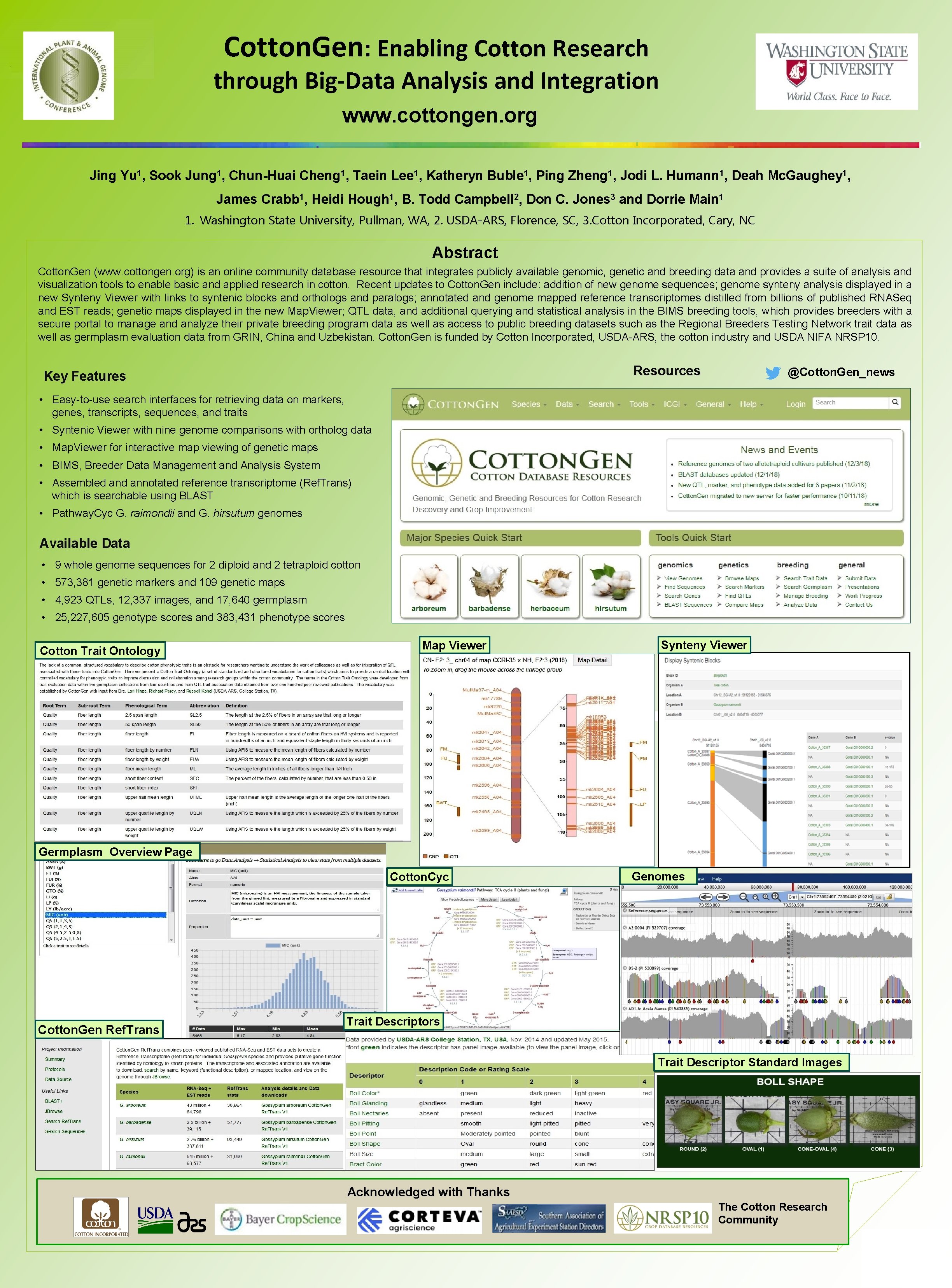 Cotton. Gen: Enabling Cotton Research through Big-Data Analysis and Integration www. cottongen. org Jing