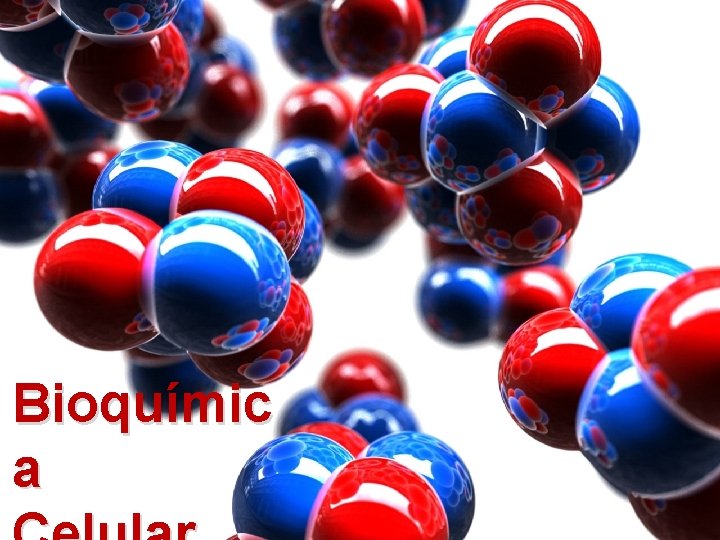 Bioquímica Celular Bioquímic a 