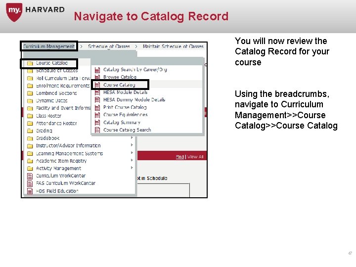 Navigate to Catalog Record You will now review the Catalog Record for your course