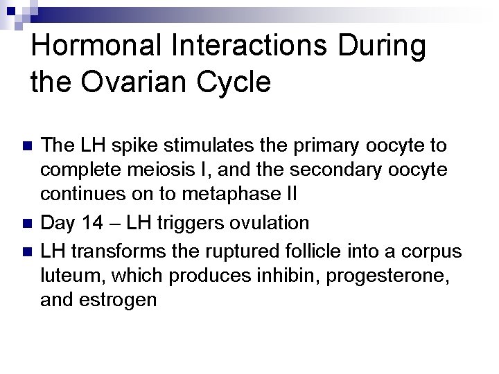 Hormonal Interactions During the Ovarian Cycle n n n The LH spike stimulates the