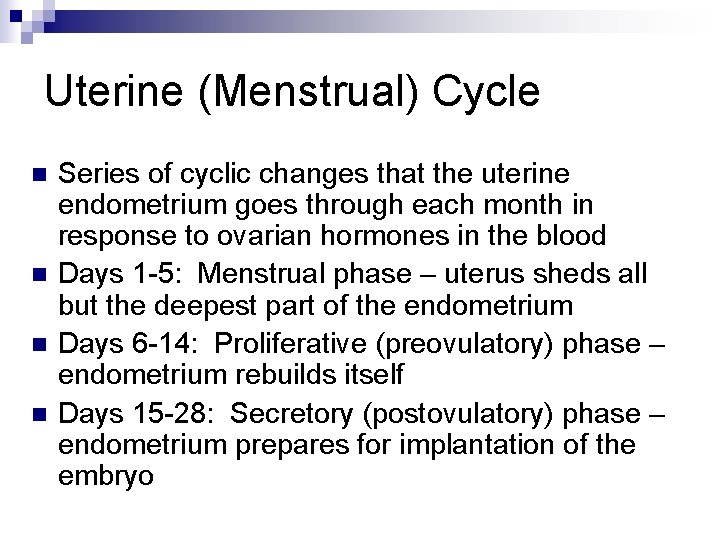 Uterine (Menstrual) Cycle n n Series of cyclic changes that the uterine endometrium goes