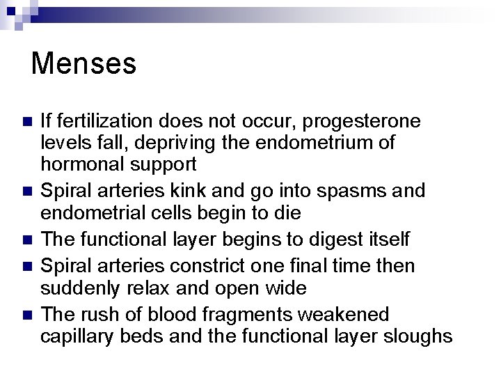 Menses n n n If fertilization does not occur, progesterone levels fall, depriving the