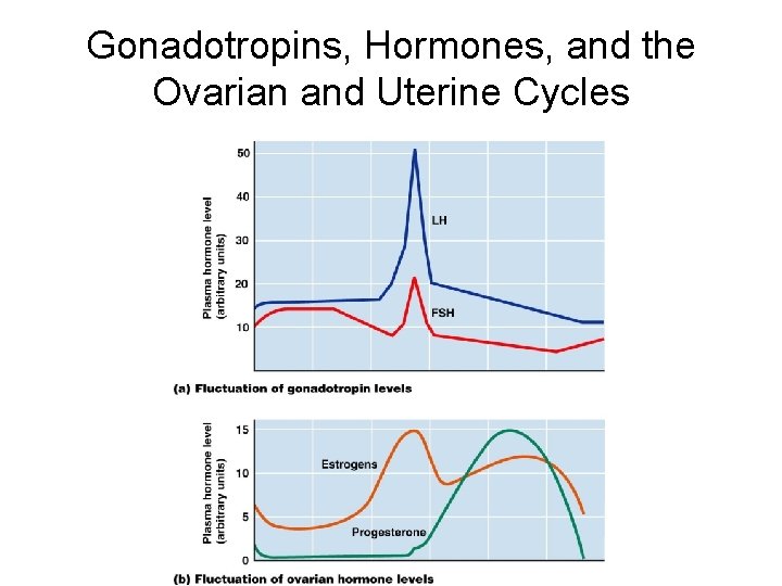 Gonadotropins, Hormones, and the Ovarian and Uterine Cycles 