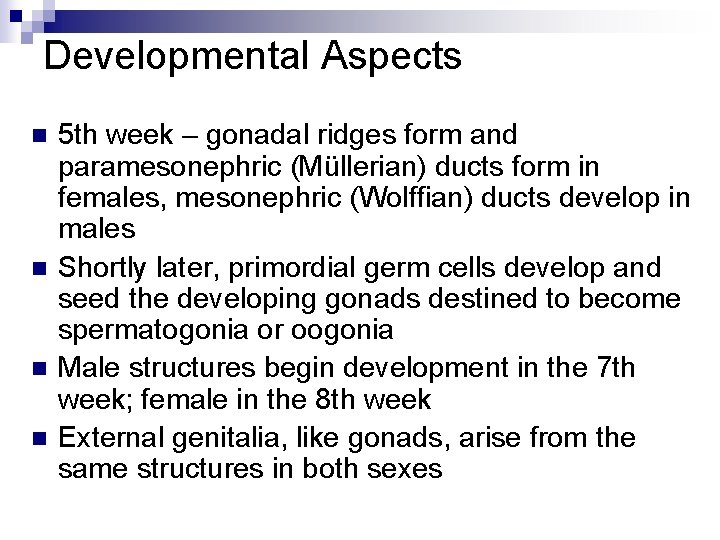 Developmental Aspects n n 5 th week – gonadal ridges form and paramesonephric (Müllerian)