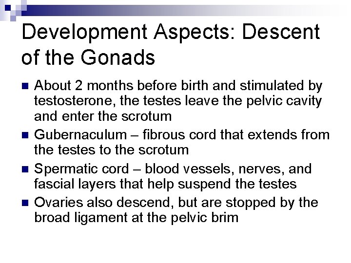 Development Aspects: Descent of the Gonads n n About 2 months before birth and